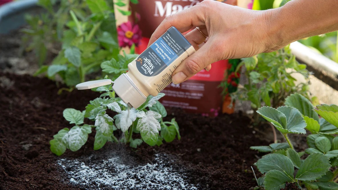 Organic Plant Magic – All Purpose Fast-Acting Soluble Plant Food – 3 OZ